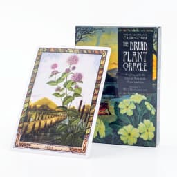 The Real Life Tarot Deck 78 PCS 10.3*6CM English Version Oracles Deck for Girls Hot Selling Family Gatherings Board Games
