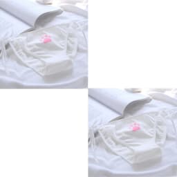 Sexy Bandage Lolita Panties Low Waist Lingerie Cute Claw Women's Briefs Low Waist Animation Underwear