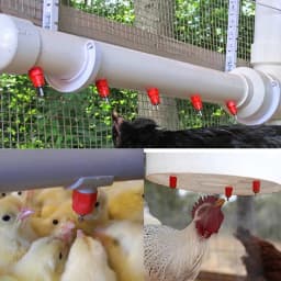 Chicken Waterer Nipple Drinkers Quail Pigeon Bird Waterer Nipples Automatic Waters Spring Type Poultry Farming Equipment Tools