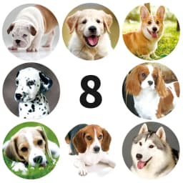50-500pcs Kids Reward Sticker Puppy Dog Pattern Encouragement Stickers for Teachers Cute Animals Stickers Stationery Stickers