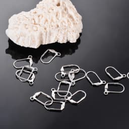 20Pcs/Lot Stainless Steel French Earring Clasps Hooks Men Women DIY Components For Ear Jewelry Making Findings Not Allergic