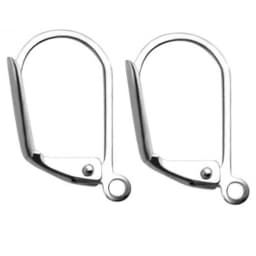 20Pcs/Lot Stainless Steel French Earring Clasps Hooks Men Women DIY Components For Ear Jewelry Making Findings Not Allergic