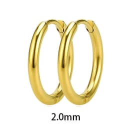 2PC /Set Stainless Steel Small Hoop Earrings for Women Men Gold Color Black Circle Thick Ear Ring Huggie Earrings Hoop Piercing