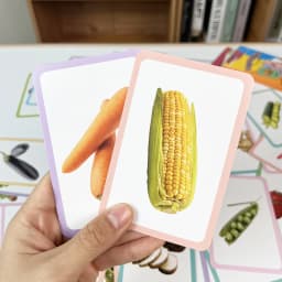 36 Double-Sided Vegetable Recognition Cards, Children's Early Education and Cognitive Development Picture-Based Learning Cards for Recognizing Objects and Words