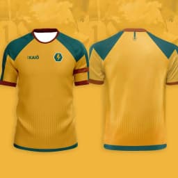 Men's Football T-shirt Japanese Animation T-shirt Inama Eleven Joint Short-sleeved Summer Comfortable Sports Children's T-shirt
