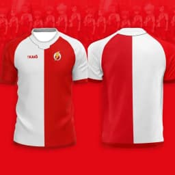 Men's Football T-shirt Japanese Animation T-shirt Inama Eleven Joint Short-sleeved Summer Comfortable Sports Children's T-shirt