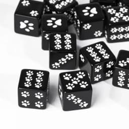 10 Pcs/lot Bear's Paw Pattern Puzzle Game 6 Sided Dice Game Accessory 15.8mm