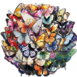 50PCS Colorful Butterfly Graffiti Stickers Scrapbooking Collage Material Decorate Guitar Frame Wall DIY Waterproof Stickers
