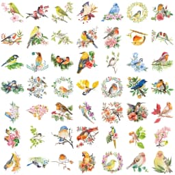 50Pcs Transparent Watercolor Bird Sticker Waterproof Transparent PET Decor Guitar Notebook Stationary Stickers