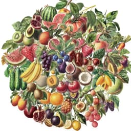 50PCS Retro Fruit Graffiti Stickers Fruit and Vegetable Teaching Stickers Scrapbook Guitar Mobile DIY Waterproof Stickers 