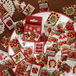 1box Strawberry Paper Mini Stickers for Scrapbook Paper Scraft Jounral