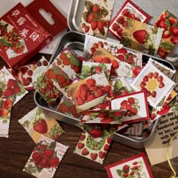 1box Strawberry Paper Mini Stickers for Scrapbook Paper Scraft Jounral