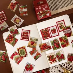 1box Strawberry Paper Mini Stickers for Scrapbook Paper Scraft Jounral
