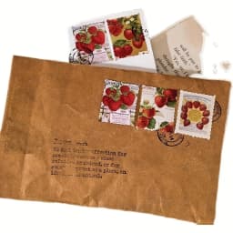 1box Strawberry Paper Mini Stickers for Scrapbook Paper Scraft Jounral