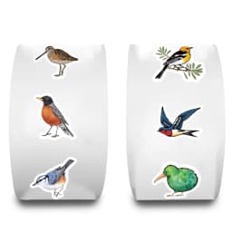 500PCS Beautiful Bird Roll Stickers Phone Scrapbook Envelope Gift Water Cup Guitar Skateboard Notebook Waterproof Decorative