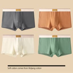 4 pcs Men Underwear Cotton BoxerShorts Man Breathable Underpants Sexy Sports Comfort Male Boxers Size L-4XL
