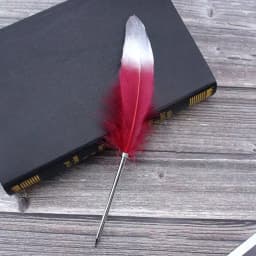 1 Set Multicolor Retro Quill Dip Pen Turkey Feather Pen Quill Oblique + 5 Nibs+ Pen Set Gift Writing Tools Office School Supply