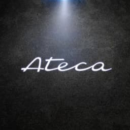 For Seat Ateca Leon Ibiza Logo Wireless Courtesy Car Door Projector LED Welcome Lights Decor