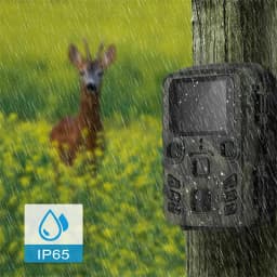 Suntekcam 20MP 1080P Wireless Hunting Camera Trail Outdoor Night Vision Waterproof IP65 Photo Trap Mini301 for Wildlife