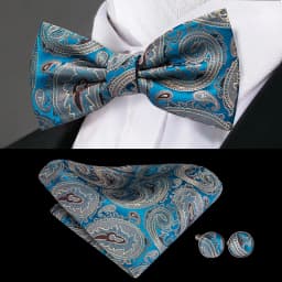 Hi-Tie Vintage Cummerbunds Belt for Men Suit Tuxedo Fashion Floral Paisley Gentleman Trouser Elastic Silk Belt Top Quality