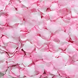 Black Artificial Rose Petals For Wedding Party Flower Favors Decoration Roses Supplies 500pcs Silk Petals Rosas Para Casamento