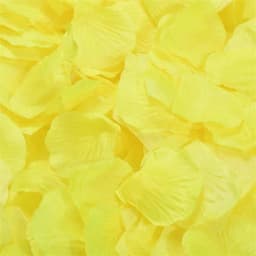 Black Artificial Rose Petals For Wedding Party Flower Favors Decoration Roses Supplies 500pcs Silk Petals Rosas Para Casamento