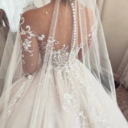 Long Sleeve Illusion Neck Wedding Dress Lace Applique Beaded A Line Bridal Gown Sheer Back Button Cathedral Train Custom Dresses