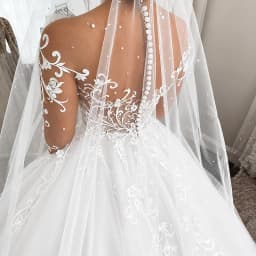 Long Sleeve Illusion Neck Wedding Dress Lace Applique Beaded A Line Bridal Gown Sheer Back Button Cathedral Train Custom Dresses