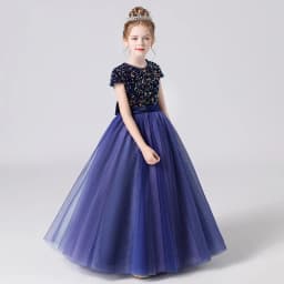 Sequin Half Sleeve Girl Maxi Tulle Princess Dress Large Back Bow Kid Formal Gown Wedding Piano Recital Birthday Pageant Costume