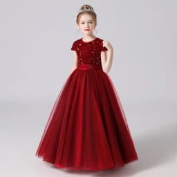 Sequin Half Sleeve Girl Maxi Tulle Princess Dress Large Back Bow Kid Formal Gown Wedding Piano Recital Birthday Pageant Costume