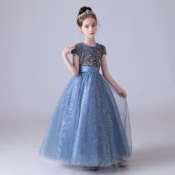 Sequin Half Sleeve Girl Maxi Tulle Princess Dress Large Back Bow Kid Formal Gown Wedding Piano Recital Birthday Pageant Costume