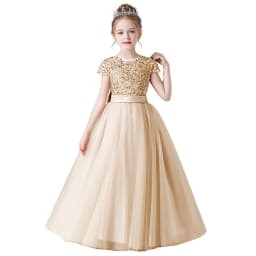 Sequin Half Sleeve Girl Maxi Tulle Princess Dress Large Back Bow Kid Formal Gown Wedding Piano Recital Birthday Pageant Costume