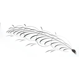Dainayw 9 Calligraphy Nibs Dip Pen Set for Cartoon Animation Lettering Skeching Art Drawing Mapping Decorative Designs