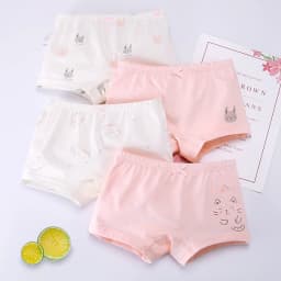 4Pcs Children's Panties Girls Pure Cotton Boxer Kids Cartoon Soft Pretty Washable Child Briefs Underwear 3-10 Year Old