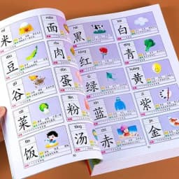 3600 Words Chinese Characters Literacy Book Preschool Kindergarten Student Learning Teaching Material Book Early Education Book
