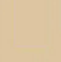 Orange Evening Dress Long Sleeves Beading Applique Scoop Neck Sweep Train A Line Satin Prom Gown Formal Party Dresses 2025