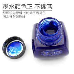 Japanese Platinum Non Fading Water and Light Resistant Bright Pigment Pen Particle Large Bottle Ink