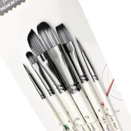 6pcs Paint Brushes Set Soft Nylon Filbert Angular Flat Round Pointed Tip Acrylic Paint Brushes for Watercolor Oil Acrylic