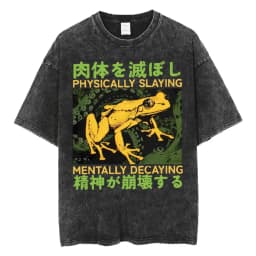 The Horrors Are Never Ending Yet I Remain Silly T-shirt Funny Japanese Style Frog Retro Washed T Shirt Men's Oversized Tees Tops
