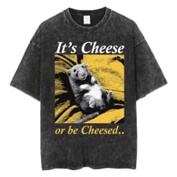 The Horrors Are Never Ending Yet I Remain Silly T-shirt Funny Japanese Style Frog Retro Washed T Shirt Men's Oversized Tees Tops