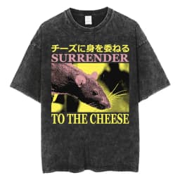 The Horrors Are Never Ending Yet I Remain Silly T-shirt Funny Japanese Style Frog Retro Washed T Shirt Men's Oversized Tees Tops