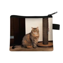 Coin Purse New Animal Cat Children's Wallet Student Portable Card Bag Coin Key Storage Bag Polyester Hand Bag Mini Bag Sac
