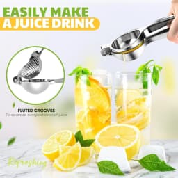 LMETJMA Premium Lemon Squeezer Zinc Alloy Manual Press Juicer Lime Squeezer for Lemon Citrus Orange Fruit JT217