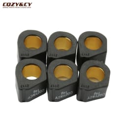 Gts250 Racing Variator Roller Weights 21x17mm 9g 11.5g 13g 14g For Vespa Gts Super Granturismo Gtv 125cc 200cc 250cc 300cc