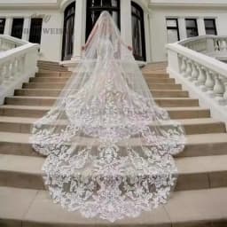 1T Appliques Lace Wedding Veil Long Veil Cathedral Bridal Veils Customized