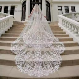 1T Appliques Lace Wedding Veil Long Veil Cathedral Bridal Veils Customized