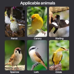10/20/30/50ml Baby Bird Feeder Parrot Feeding Syringe Adjustable Hand-Raised Breastfeeder Bird Supplies Pet Syringe Raise Tools