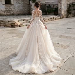 Long Sleeve Illusion V Neck Lace Wedding Dress Appliques Sheer Back Ball Gown Tulle Bridal Dress With Chapel Train Wedding Party