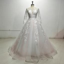 Long Sleeve Illusion V Neck Lace Wedding Dress Appliques Sheer Back Ball Gown Tulle Bridal Dress With Chapel Train Wedding Party