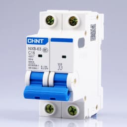 CHNT CHINT NXB-63 2P AC 230/400V Miniature Circuit Breaker C 6 10 16 20 25 32 40 63A Overload Protector DZ47 C Style Air Switch